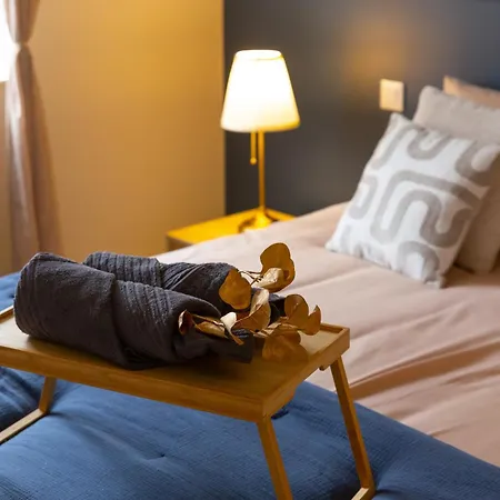 Appartement Movie Prestige - Elegant - Moderne - Netflix Avec Videoprojecteur - Stationnement Facile